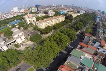 Điểm danh loạt tuyến đường huyết mạch HN bị chặt hết cây