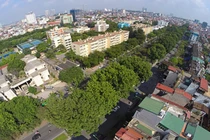 Điểm danh loạt tuyến đường huyết mạch HN bị chặt hết cây