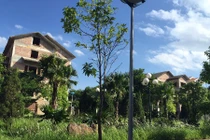 Xót xa khu biệt thự bề thế cho thứ trưởng bị bỏ hoang