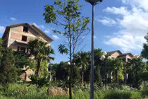 Xót xa khu biệt thự bề thế cho thứ trưởng bị bỏ hoang