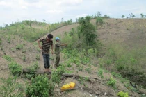 Cha rượu chè, hãm hiếp con gần chết