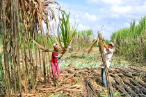 Bầu Đức nhập đường gây “xung đột” dư luận