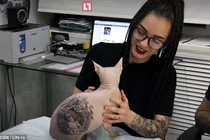 Đè mèo không lông ra xăm hình nhà tù, gái đẹp