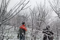 Việt Nam sẽ còn đón tuyết