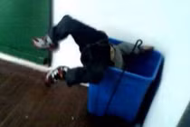 Tận mục công cụ các "ác mẫu" bạo hành trẻ