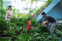 Xem trang trại nuôi lợn, trồng rau lơ lửng trên không giữa phố HN