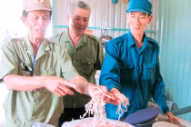 Tận mục công nghệ làm giả hàng hóa, thực phẩm (2)