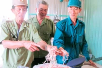 Tận mục công nghệ làm giả hàng hóa, thực phẩm (2)