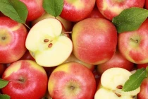 5 món giúp phổi tự chữa lành vết thương và phục hồi cực nhanh