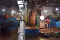 Cảnh tượng chưa từng có tại chợ cá Yên Sở dịp Tết 