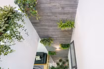 Không gian sống gần thiên nhiên cho gia đình 3 thế hệ trong ngôi nhà phố