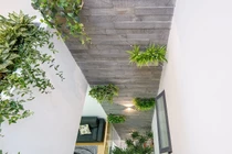 Không gian sống gần thiên nhiên cho gia đình 3 thế hệ trong ngôi nhà phố