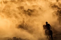 Cảnh cao bồi lùa ngựa trên thảo nguyên đẹp như phim 