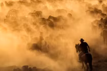 Cảnh cao bồi lùa ngựa trên thảo nguyên đẹp như phim 