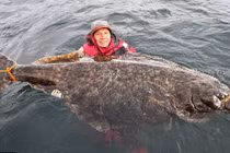 Chân dung cá bơn khổng lồ nặng 100 kg vừa cắn câu