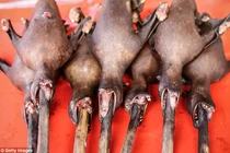 Khám phá khu chợ bán thực phẩm “kinh dị” ở Indonesia