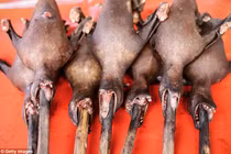 Khám phá khu chợ bán thực phẩm “kinh dị” ở Indonesia