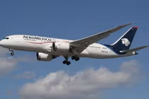 Khoang hành lý bốc cháy, Boeing 787 Dreamliner hạ cánh khẩn cấp