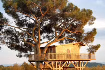 Chiêm ngưỡng những ngôi nhà trên cây vô cùng độc đáo