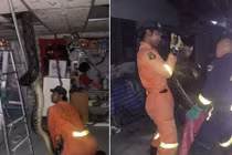 Ảnh động vật: Bắt trăn quái vật, bói cá "yêu" nơi chênh vênh...