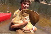 Kịch tính bé 12 tuổi trợ giúp cá đuối mẹ sinh con