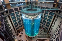 Bể thủy sinh hình trụ độc đáo trong khách sạn Đức