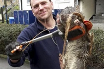 Hãi hùng bắt được chuột khổng lồ to gấp 4 lần mèo 