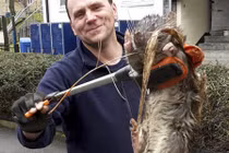 Hãi hùng bắt được chuột khổng lồ to gấp 4 lần mèo 