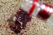 Mẹo đánh bay rượu vang rớt xuống thảm