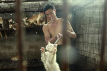 Bên trong các lò mổ chó mèo ở Trung Quốc