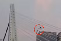 Nhận quả đắng vì nghịch dại... trượt ván trên dây văng cầu