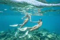 Cặp song sinh được du lịch miễn phí nhờ nổi tiếng trên mạng