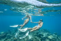 Cặp song sinh được du lịch miễn phí nhờ nổi tiếng trên mạng