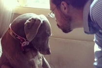 Ấn tượng ảnh thú cưng buồn bã khi chủ đi du lịch