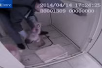 Cứu sống bé sơ sinh bị bỏ rơi trong toilet