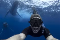 Mạo hiểm chụp ảnh cùng cá voi lưng gù khổng lồ