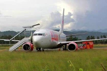 Indonesia: Máy bay gặp nạn vì “chẹt” bò trên đường băng