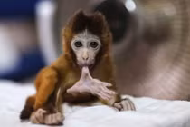 Chiêm ngưỡng ảnh động vật đẹp nhất năm 2014