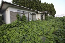 Hình ảnh Fukushima hoang tàn sau thảm họa hạt nhân