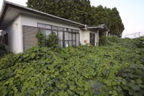 Hình ảnh Fukushima hoang tàn sau thảm họa hạt nhân