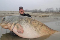 Ảnh động vật tuần: Câu được cá “quái vật”, tê giác trên đồng cỏ...