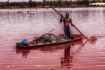 Cận cảnh dân nghèo mưu sinh nhờ “hồ máu” ở Senegal