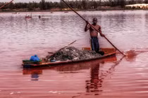 Cận cảnh dân nghèo mưu sinh nhờ “hồ máu” ở Senegal