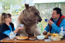 Cặp vợ chồng "nổi tiếng" vì sống cùng gấu khổng lồ