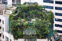 10 công trình xây dựng kỳ dị nhất Trung Quốc 