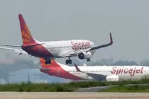 Ấn Độ: Máy bay chở 146 người đâm vào trâu khi cất cánh