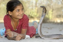 Những tình bạn kỳ lạ giữa con người và loài vật