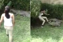 Hậu quả khôn lường khi trêu chọc cá sấu 