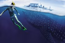 Loạt ảnh tuyệt đẹp của động vật hoang dã trong tự nhiên 