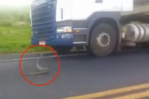 Rắn hổ mang điên cuồng tấn công xe tải trên đường